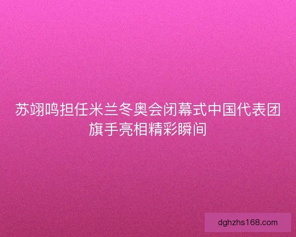 苏翊鸣担任米兰冬奥会闭幕式中国代表团旗手亮相精彩瞬间
